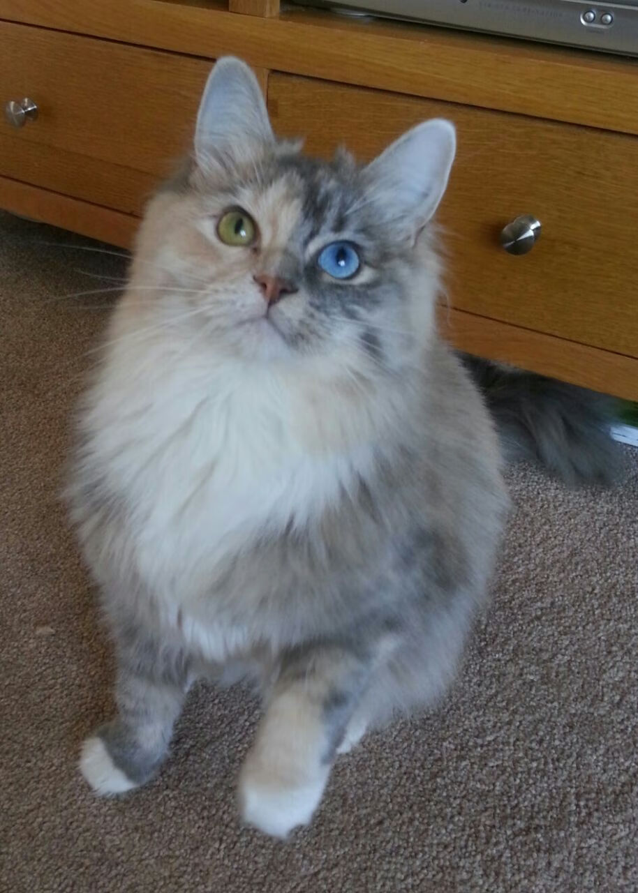 九游体育电竞-_本周最佳比赛：华丽攻防展现极致技巧_，华丽攻击